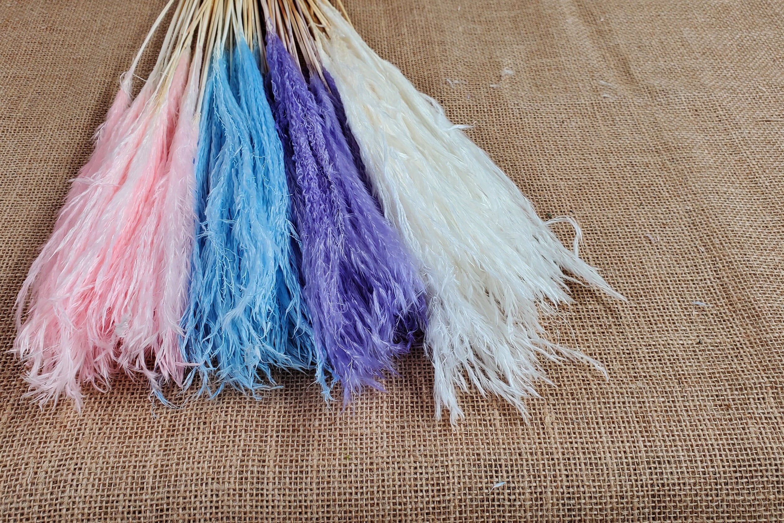 20" Pastel Pampas Grass Stems: Pink, Blue, Purple, White - Wedding Floral Decor